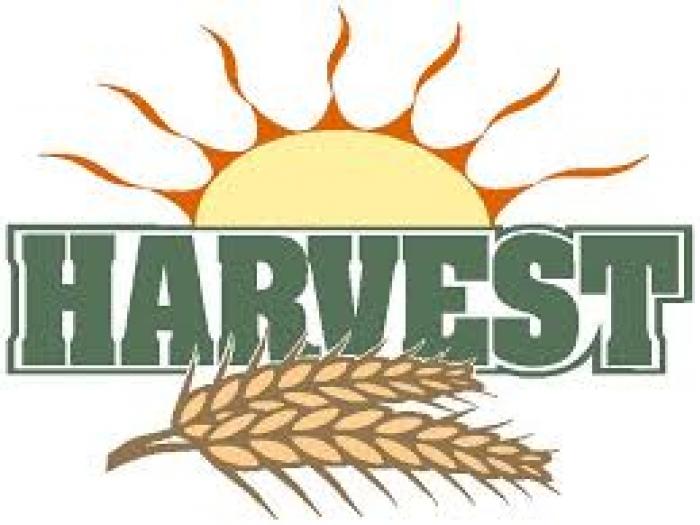 Harvest clipart